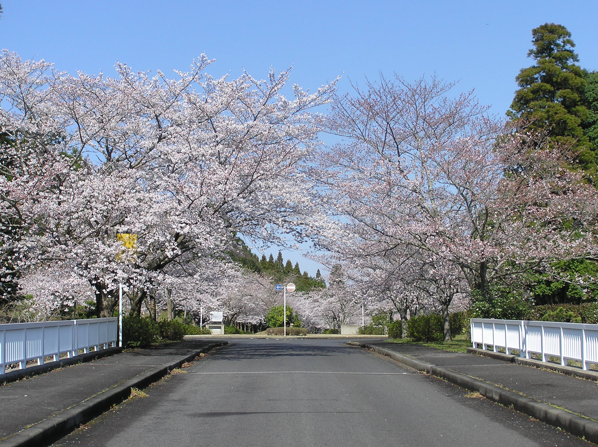 成田メモリアルパーク霊園風景